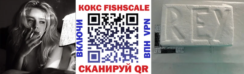 Купить закладки  Южа  COCAIN 98%