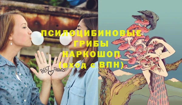 эйфоретик Новодвинск